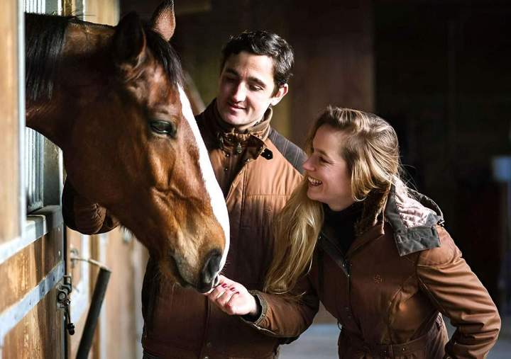 Écurie haut niveau Bazainville