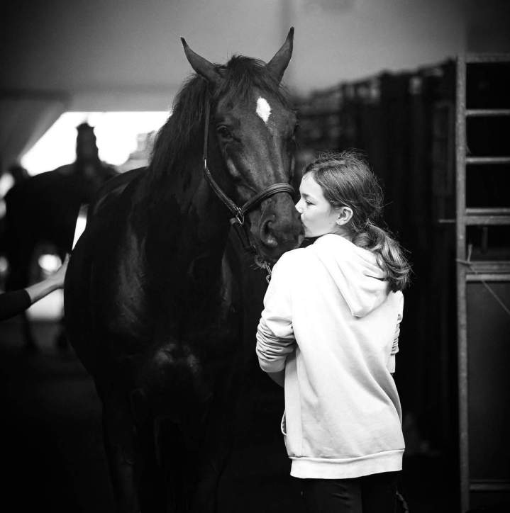 Location de chevaux Bazainville