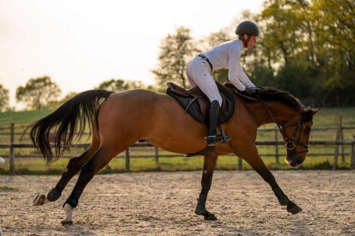 Écurie avec coaching personnalisé Bazainville