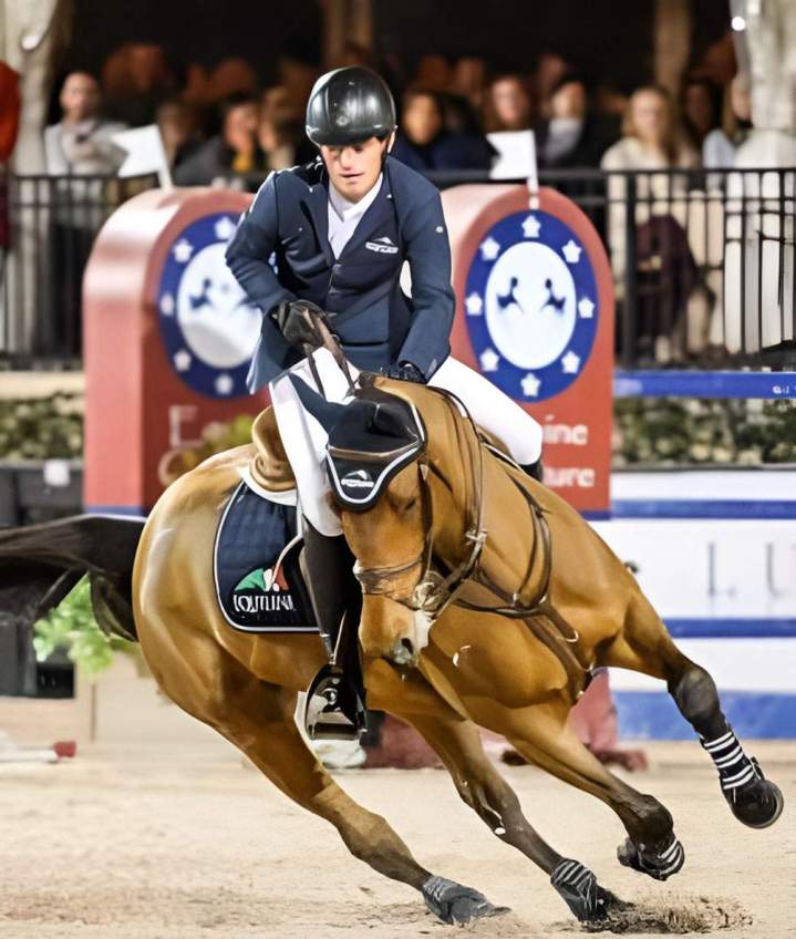 Écurie haut niveau à Bazainville