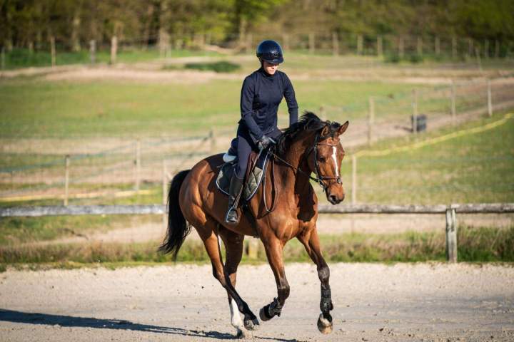 Sports études équitation
